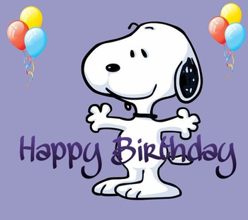 Pin by lisa peterson on peanuts birthday pinterest snoopy