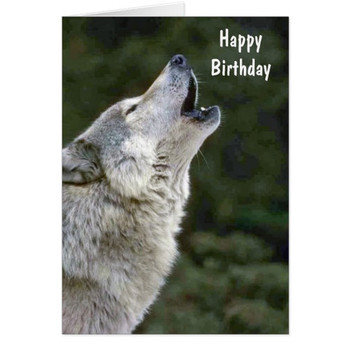 Howling grey wolf beautiful custom birthday card