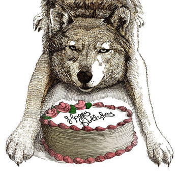 Happy bithday wolf birthday wolf michael rea