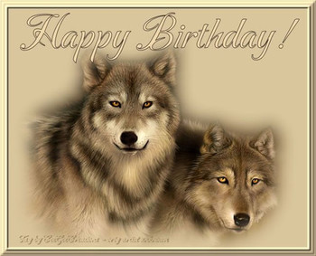 Happy birthday wolf wolf happy birthday photo wolves jpg ...
