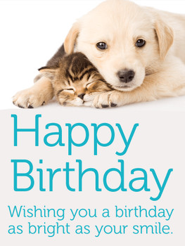 Adorable cat amp dog happy birthday card for kids birthday
