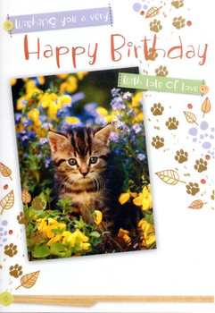Cat birthday card ts greeting cards