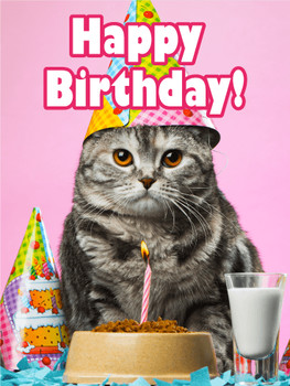 Birthday party cat card birthday amp greeting cards by da...