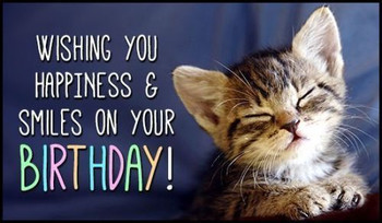 Happy birthday pics funny cat images to wish my best friend