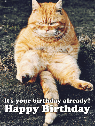 funny happy birthday cat