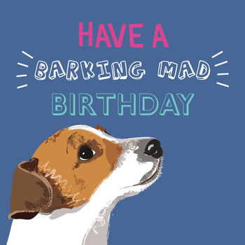 Happy birthday wishes with jack russell
