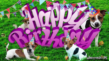Happy birthday jack russell dog youtube