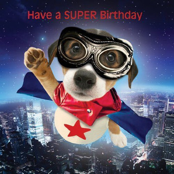Funny humour pet pawtraits birthday card super pup flying...