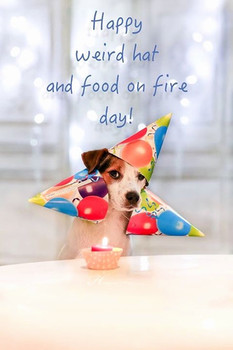 Jack russell birthday card best of jack russel card birth...