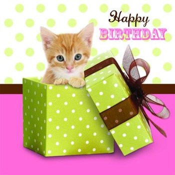 Images kitten birthday card