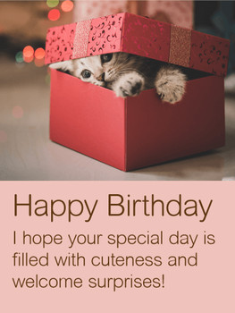 Cute kitten happy birthday wishes card birthday amp greet...