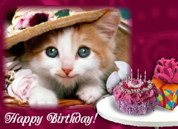 Birthday singing kitten free funny birthday wishes ecards