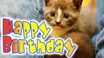 Happy birthday kitten a super cute kitty birthday ecard y...