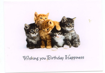 Kitten greeting cards kittens birthday card margess blog