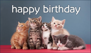 Free birthday kittens ecard email free personalized birth...