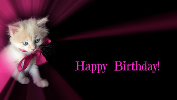 Happy birthday cat walldevil