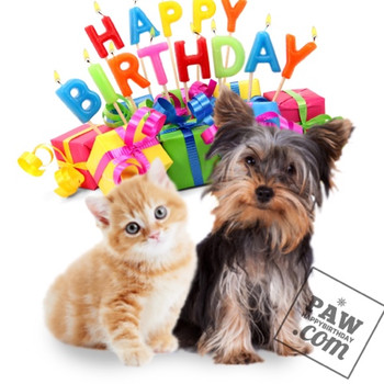 Happy birthday animation ecards share free greeting postc...