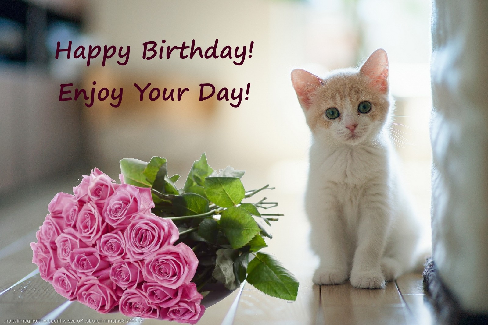 Happy birthday images with Kittens — Free happy bday pictures and photos
