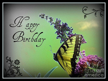 Happy birthday butterfly photograph by kassia ott