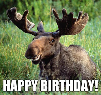 Happy birthday amoosing moose quickmeme