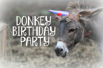 Happy birthday dear donkeyspany