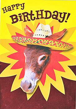 Happy birthday donkey wearing a hat humorous birthday card