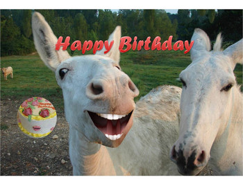 Funny donkey singing happy birthday youtube