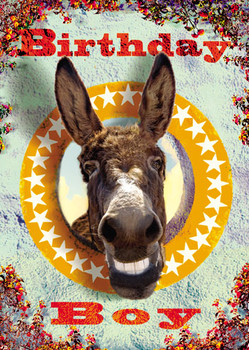Birthday boy happy donkey greeting card by max hernn bc