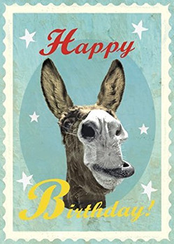 Happy birthday donkey card by max hernn amazon co uk kitc...