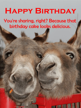 Donkey happy birthday cards birthday amp greeting cards b...