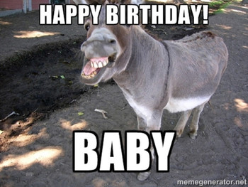 Happy birthday – donkey