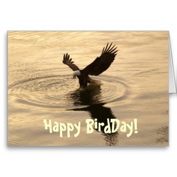 Happy birthday spiritual eagle soaring px lifes pure