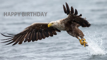 Happy birthday wishes with eagle