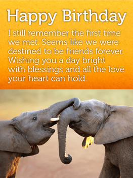 Best elephant friends happy birthday card birthday amp gr...