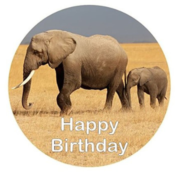 Buy elephant happy birthday square cake topper edible sugar