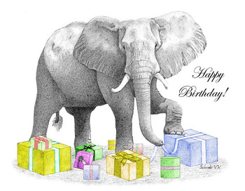 Happy birthday elephant drawing by selinda van horn