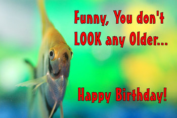 Fish says happy birthday by brian dodd redbubble
