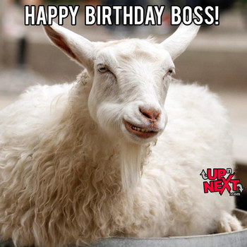 Happy birthday boss meme funny boss birthday memes images