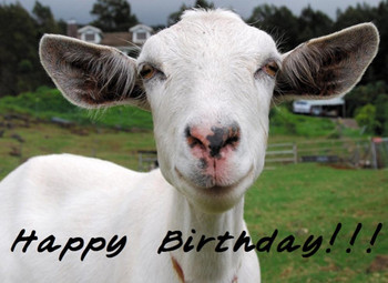 Happy birthday images for a goat goat of the month heidi
