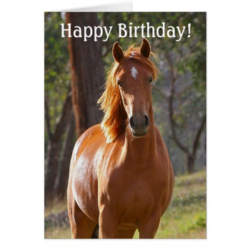 √ Horse happy birthday card for horse lovers zazzle decent