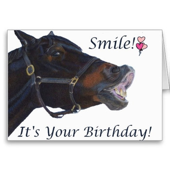 Happy birthday horse images images hd wallpapers buzz