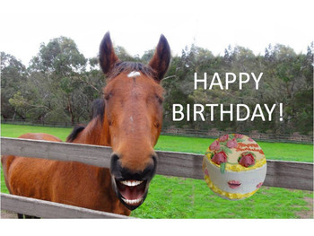 Funny horse singing happy birthday youtube