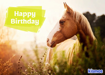 Birthday cards with horses elegant happy birthday card ho...