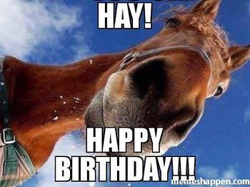Funny happy birthday horse meme birthday cookies cake fun...