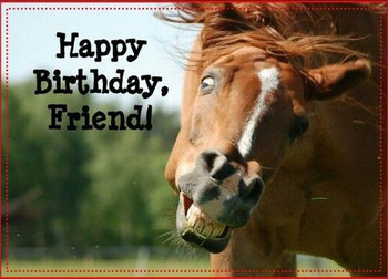 Best happy birthday horse picture images on pinterest happy