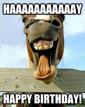 Happy birthday horse meme amp funny songs happybirthday