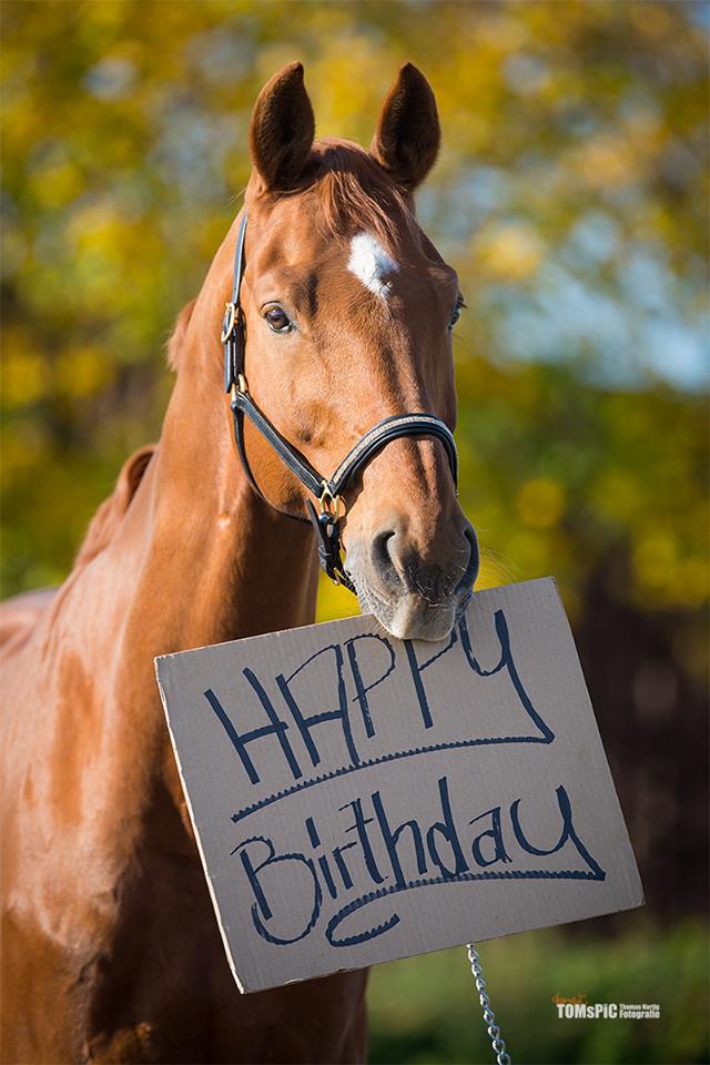 happy-birthday-images-with-horses-free-happy-bday-pictures-and-photos-bday-card