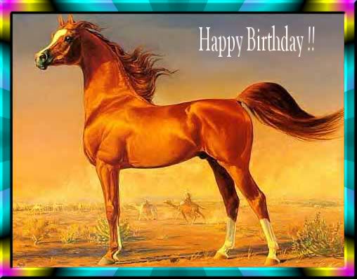 Happy birthday moodyhorses general chit chat horsecity fo...