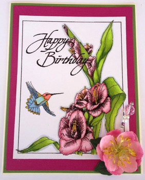 G country life hummingbird birthday card