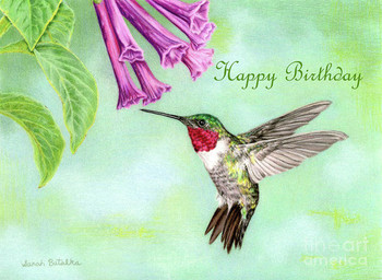 Flight of fancy happy birthday cards drawing by sarah bat...